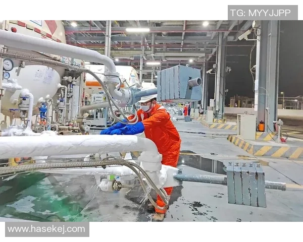 LNG战队运营策略分析与成败经验总结探讨