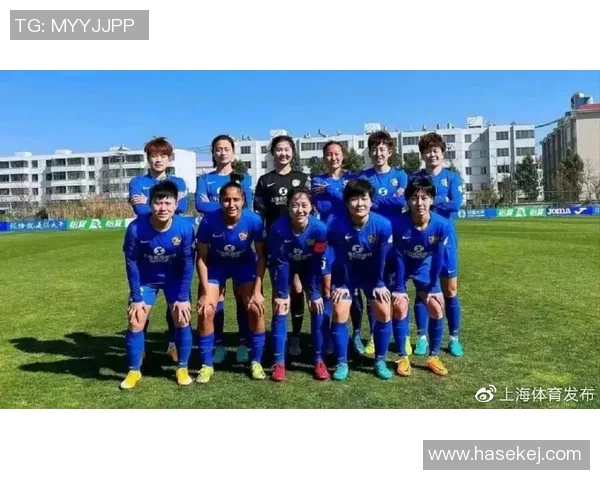 武汉足球队崛起之路：从默默无闻到钻石联赛的璀璨之星