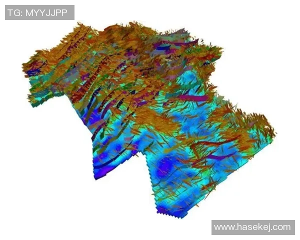 武汉攀岩队状态分析与表现评估探讨及其未来发展方向
