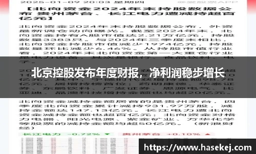 北京控股发布年度财报，净利润稳步增长