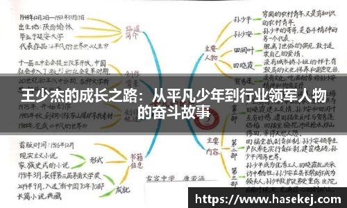 王少杰的成长之路：从平凡少年到行业领军人物的奋斗故事